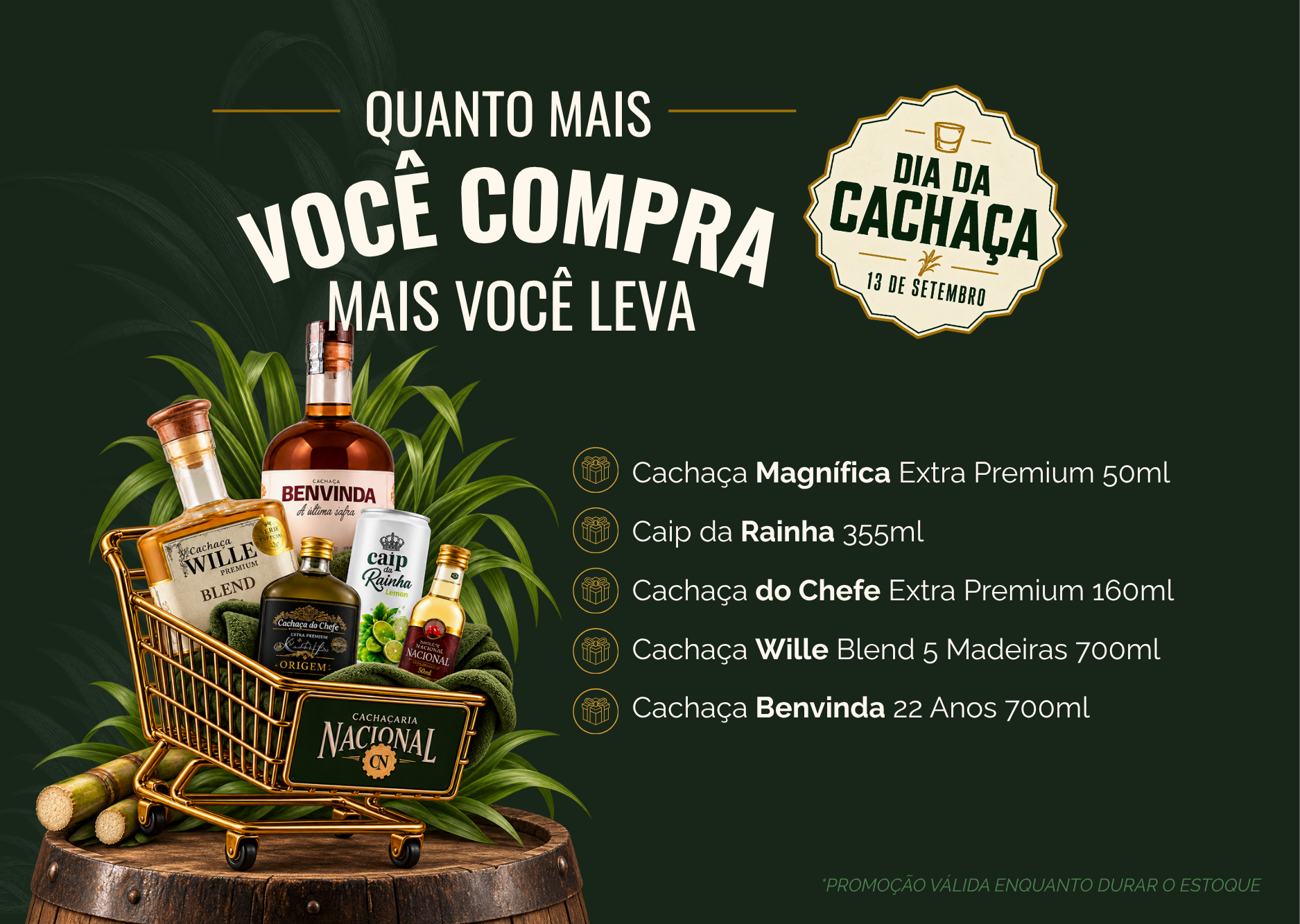 Banner Promoções Mobile